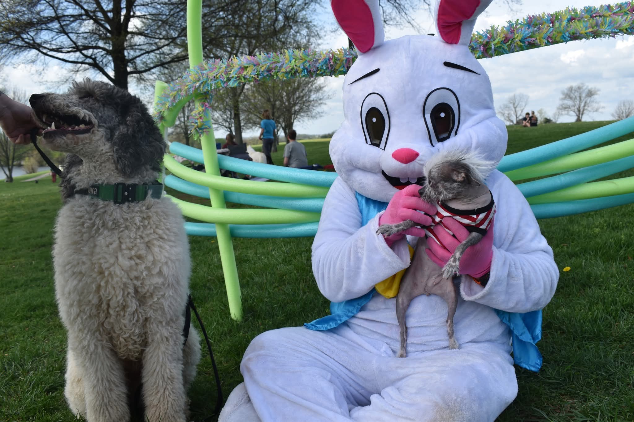 Easter Bunny from Magical Holiday Visits