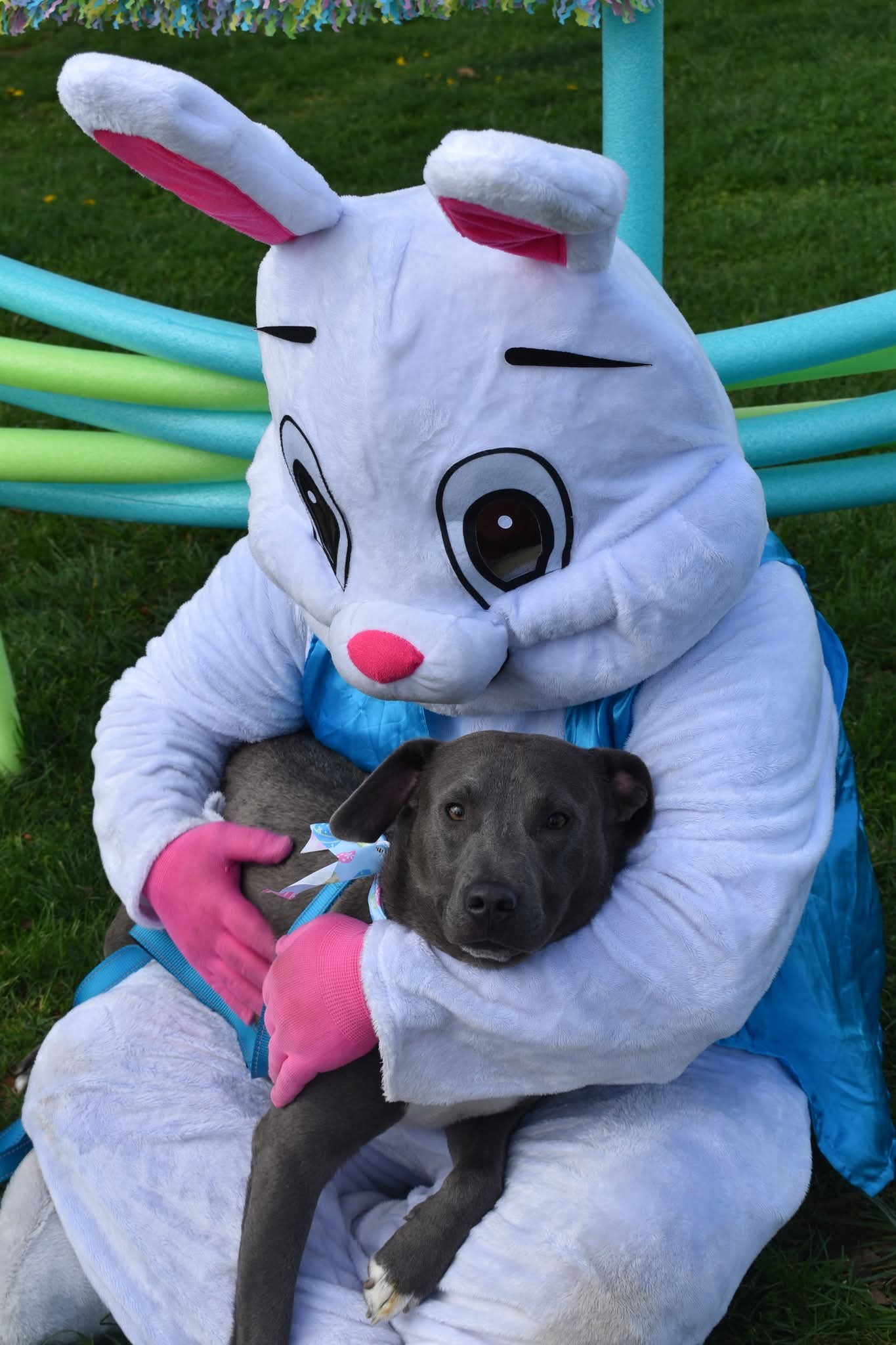 Easter Bunny with a pet