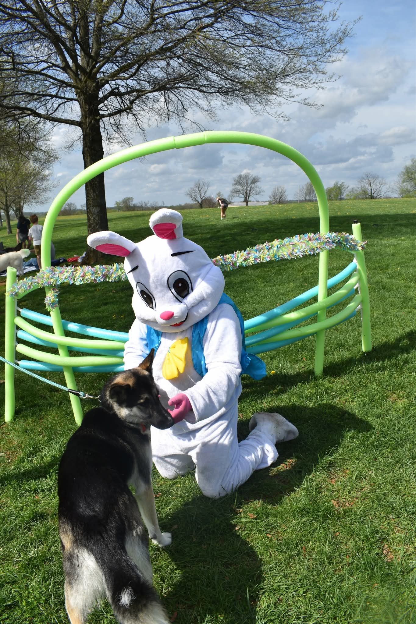 Easter Bunny during a pet-friendly visit