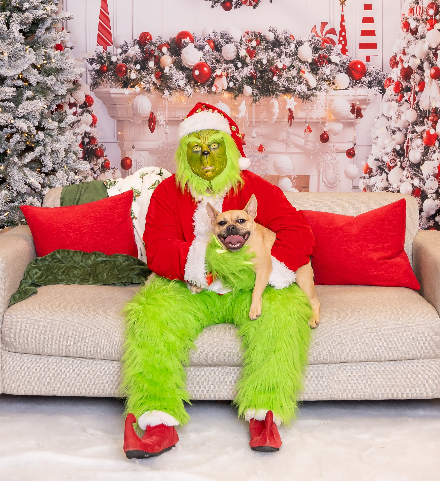 Mr. Grinch from Magical Holiday Visits